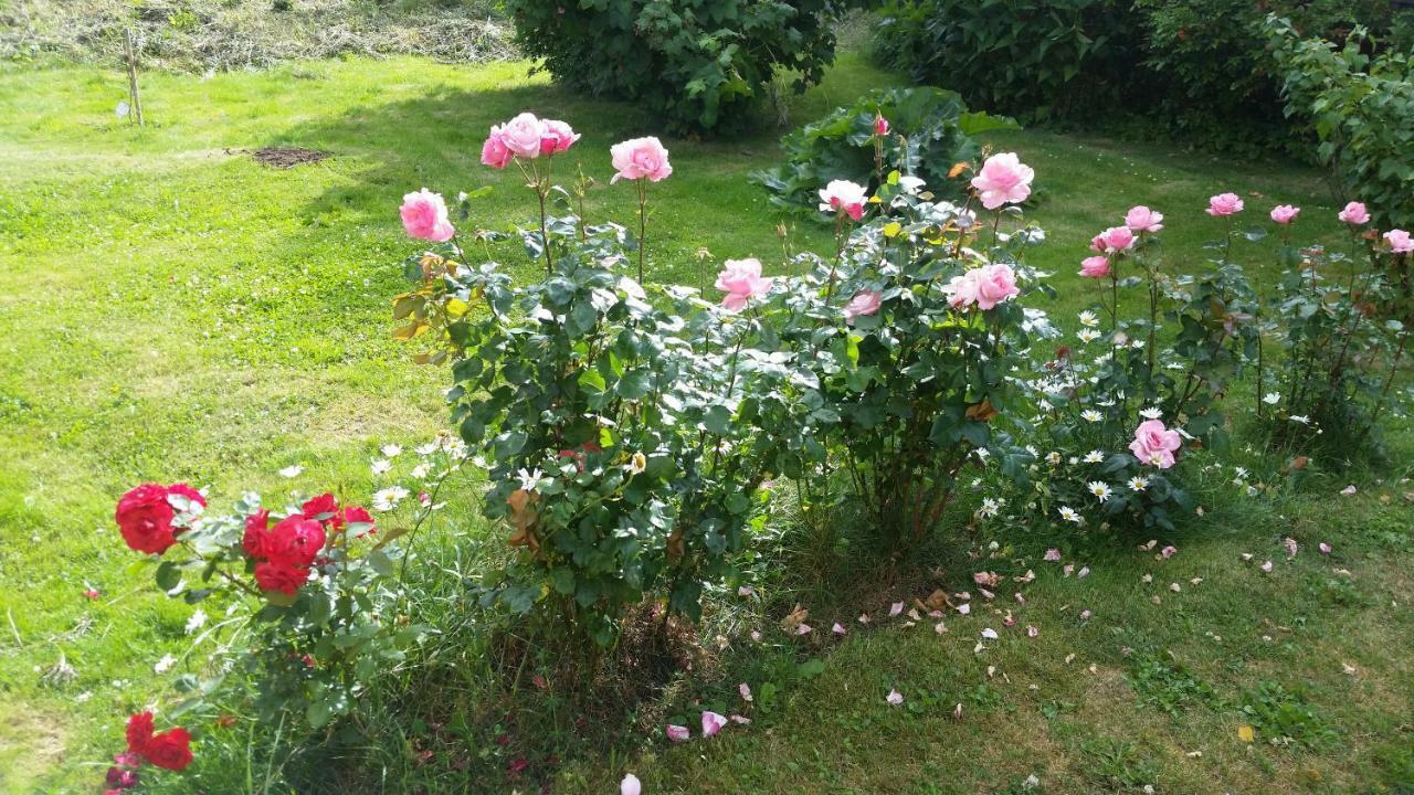 Kinne-Vedum Bed And Breakfast Götene Extérieur photo